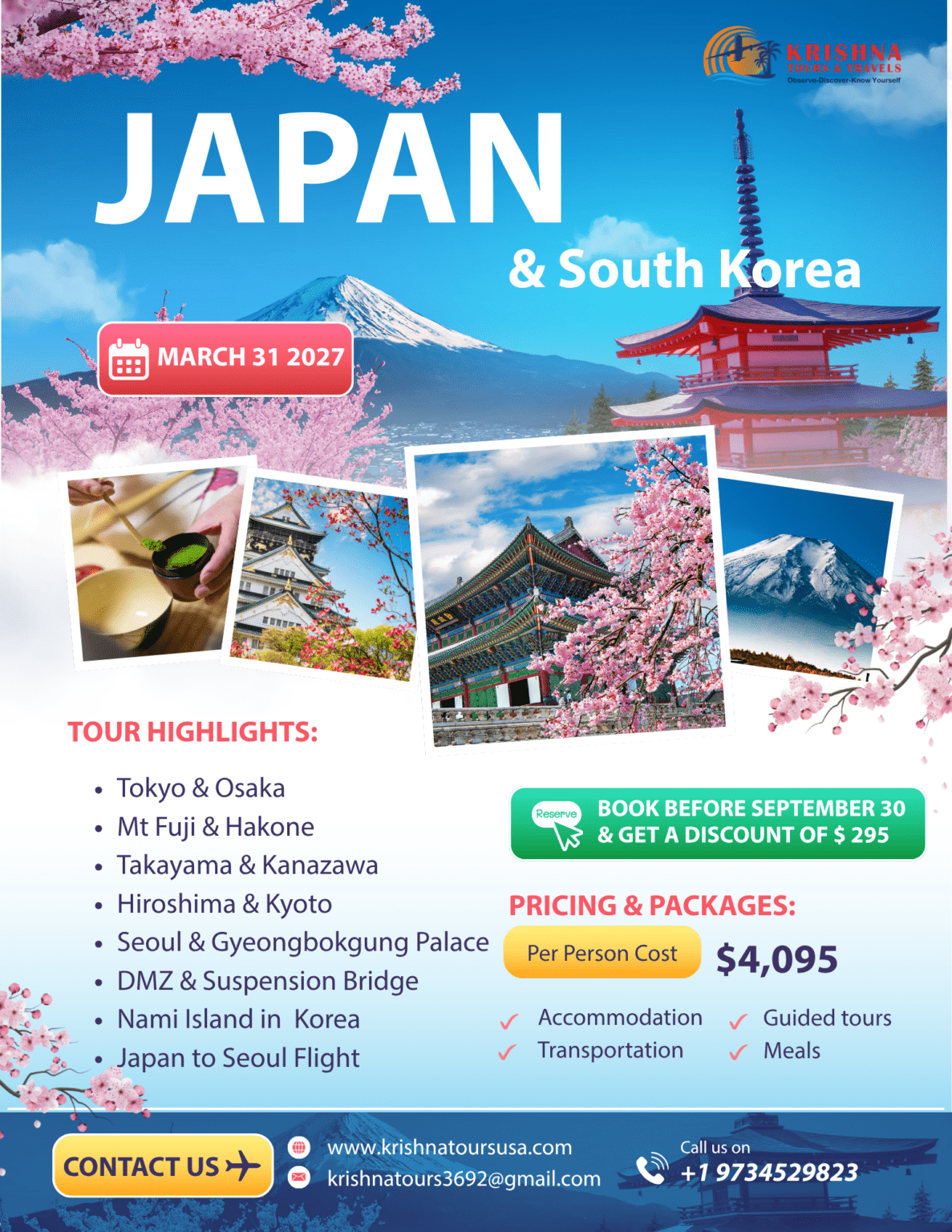_Japan Tour Package Flyer